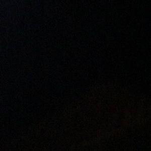 Meet your Posher, Beatrice